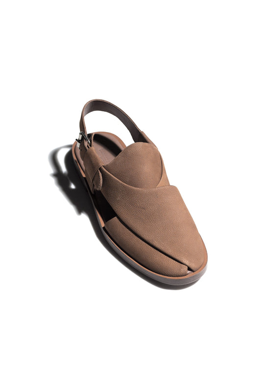 QCE2S23-01-Brown