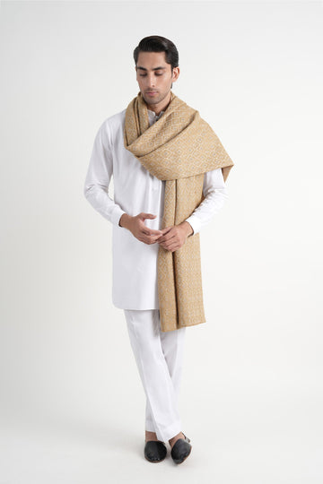 Embroidered Pashmina Shawl Beige
